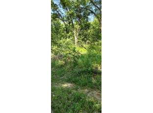 35.90AC Kassner Road Wisconsin Dells, WI 53965