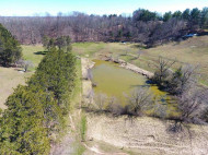 54+/- ACRES Pleasant Mound Road