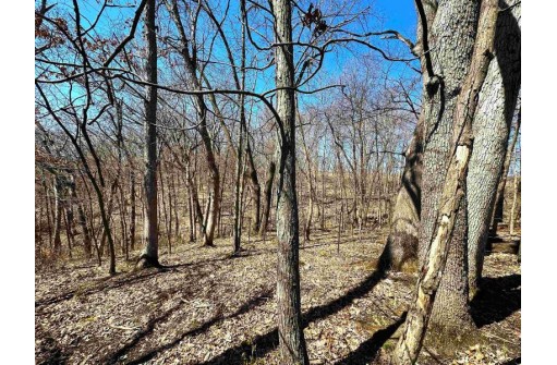 54+/- ACRES Pleasant Mound Road, Boscobel, WI 53805