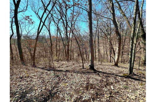 54+/- ACRES Pleasant Mound Road, Boscobel, WI 53805