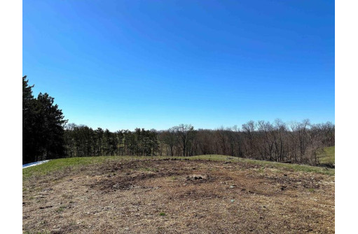 54+/- ACRES Pleasant Mound Road, Boscobel, WI 53805