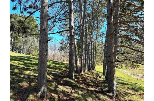 54+/- ACRES Pleasant Mound Road, Boscobel, WI 53805