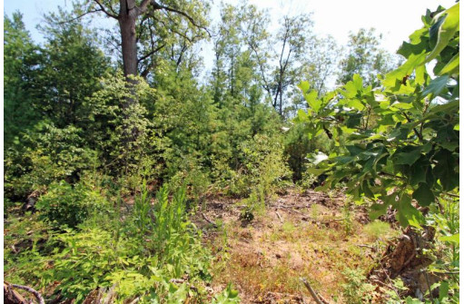 LOT14 Timber Trail, Spring Green, WI 53588