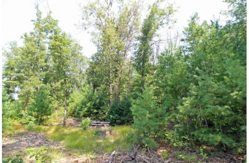 LOT14 Timber Trail, Spring Green, WI 53588