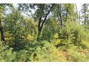 LOT14 Timber Trail, Spring Green, WI 53588