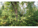 LOT14 Timber Trail, Spring Green, WI 53588