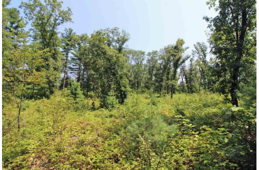 LOT14 Timber Trail, Spring Green, WI 53588