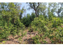 LOT14 Timber Trail, Spring Green, WI 53588