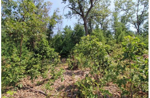 LOT14 Timber Trail, Spring Green, WI 53588