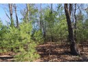 LOT14 Timber Trail, Spring Green, WI 53588