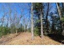 LOT14 Timber Trail, Spring Green, WI 53588