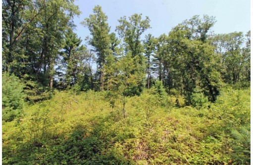 LOT14 Timber Trail, Spring Green, WI 53588