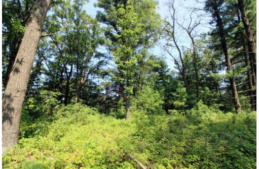 LOT14 Timber Trail, Spring Green, WI 53588