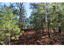 LOT14 Timber Trail, Spring Green, WI 53588