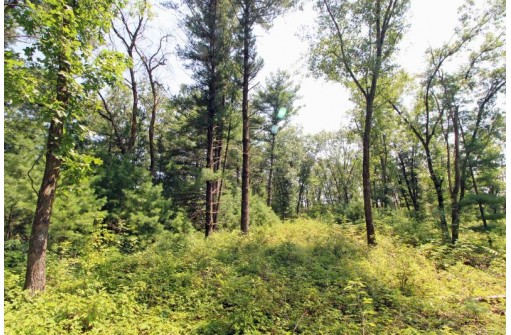 LOT14 Timber Trail, Spring Green, WI 53588