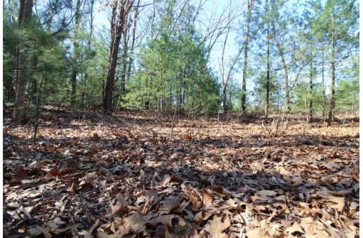 LOT14 Timber Trail, Spring Green, WI 53588