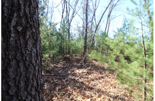 LOT14 Timber Trail, Spring Green, WI 53588