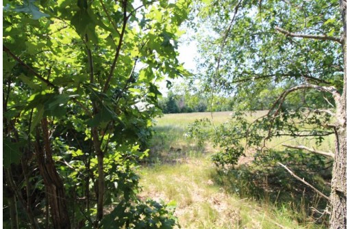 LOT19 Timber Trail, Spring Green, WI 53588