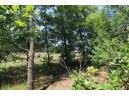 LOT19 Timber Trail, Spring Green, WI 53588