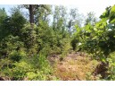 LOT19 Timber Trail, Spring Green, WI 53588