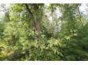 LOT19 Timber Trail, Spring Green, WI 53588