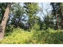 LOT19 Timber Trail, Spring Green, WI 53588