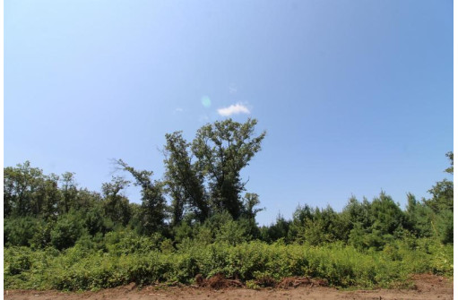 LOT19 Timber Trail, Spring Green, WI 53588