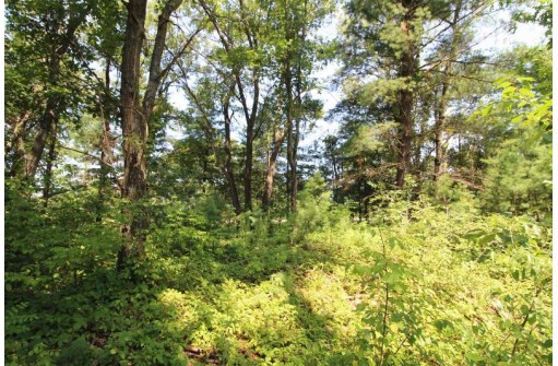 LOT19 Timber Trail, Spring Green, WI 53588