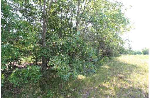 LOT19 Timber Trail, Spring Green, WI 53588