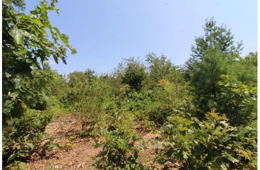 LOT19 Timber Trail, Spring Green, WI 53588