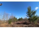 LOT19 Timber Trail, Spring Green, WI 53588