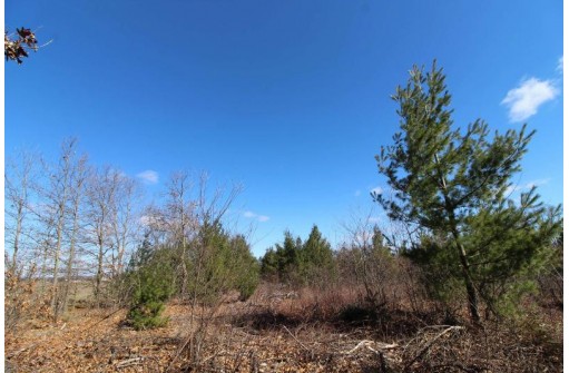 LOT19 Timber Trail, Spring Green, WI 53588