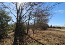 LOT19 Timber Trail, Spring Green, WI 53588