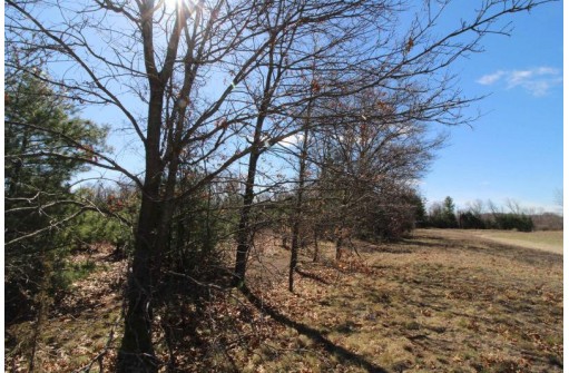 LOT19 Timber Trail, Spring Green, WI 53588