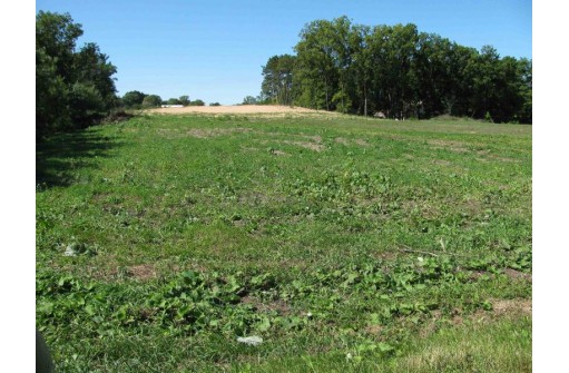 2.94AC Ray Hollow Road, Arena, WI 53503