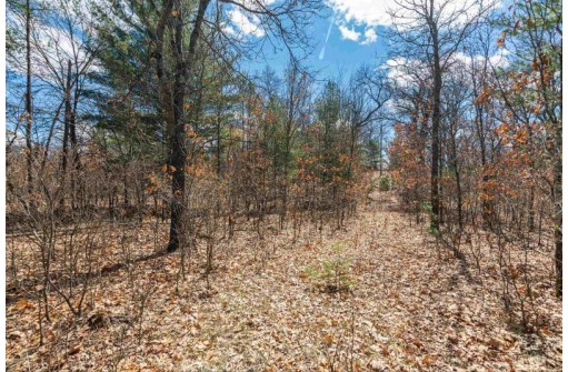 16 ACRES Gem Drive, Wisconsin Dells, WI 53965