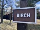 11 Birch Trail, Wisconsin Dells, WI 53965