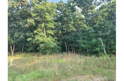 LOT 1 County Road P, Wisconsin Dells, WI 53965