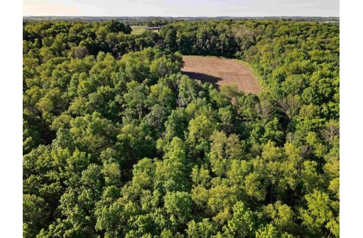 73.56 M/L ACRES County Road Y, Wonewoc, WI 53968