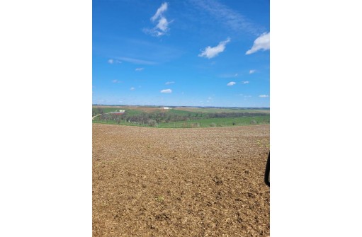 40 AC Burr Oak Road, Mineral Point, WI 53565