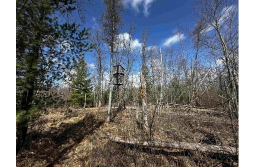 40.44 AC Dakota Road, Westfield, WI 53964