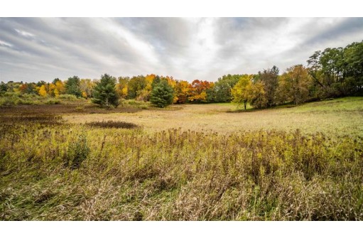 10492 County Road Mm, Amherst Junction, WI 54407