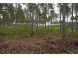 LOT 8 Bollig Court Nekoosa, WI 54457