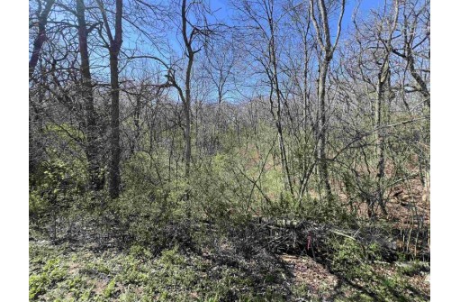 LOT 1 Hackett Road, Whitewater, WI 53190