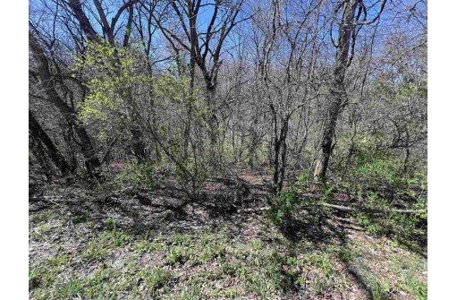 LOT 1 Hackett Road, Whitewater, WI 53190