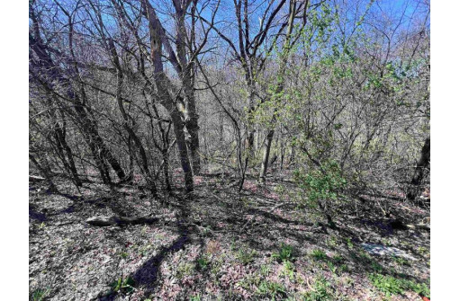 LOT 1 Hackett Road, Whitewater, WI 53190