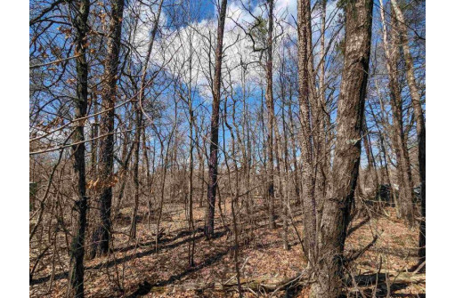 LOT 38 14th Court, Wisconsin Dells, WI 53965