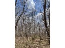 7.93 ACRES Brown Road, Elroy, WI 53929-1405