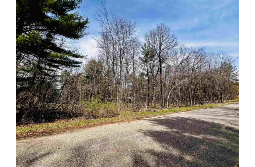 LOT 69 18th Lane, Arkdale, WI 54613