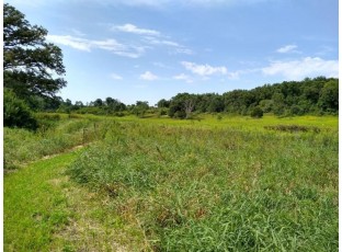 40 ACRES Esch Road Dodgeville, WI 53533